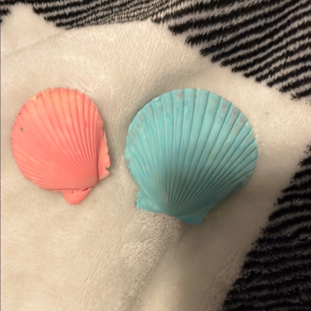 Colorful Seashell Decor Set